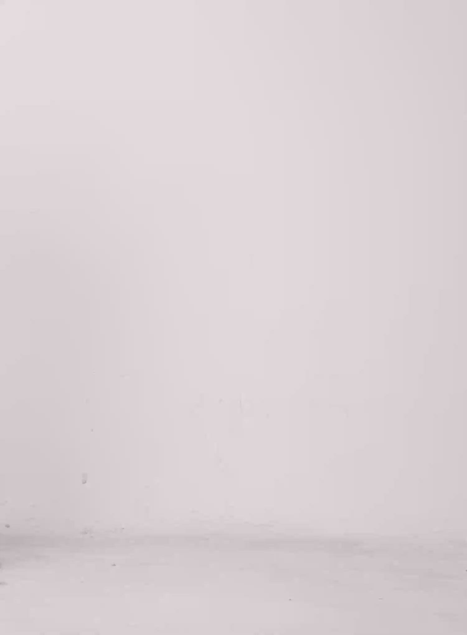 Low Rise Back-Band Skirt IL528