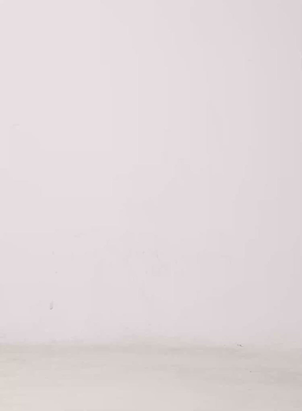 Pleated Flare Maxi Skirt CL524