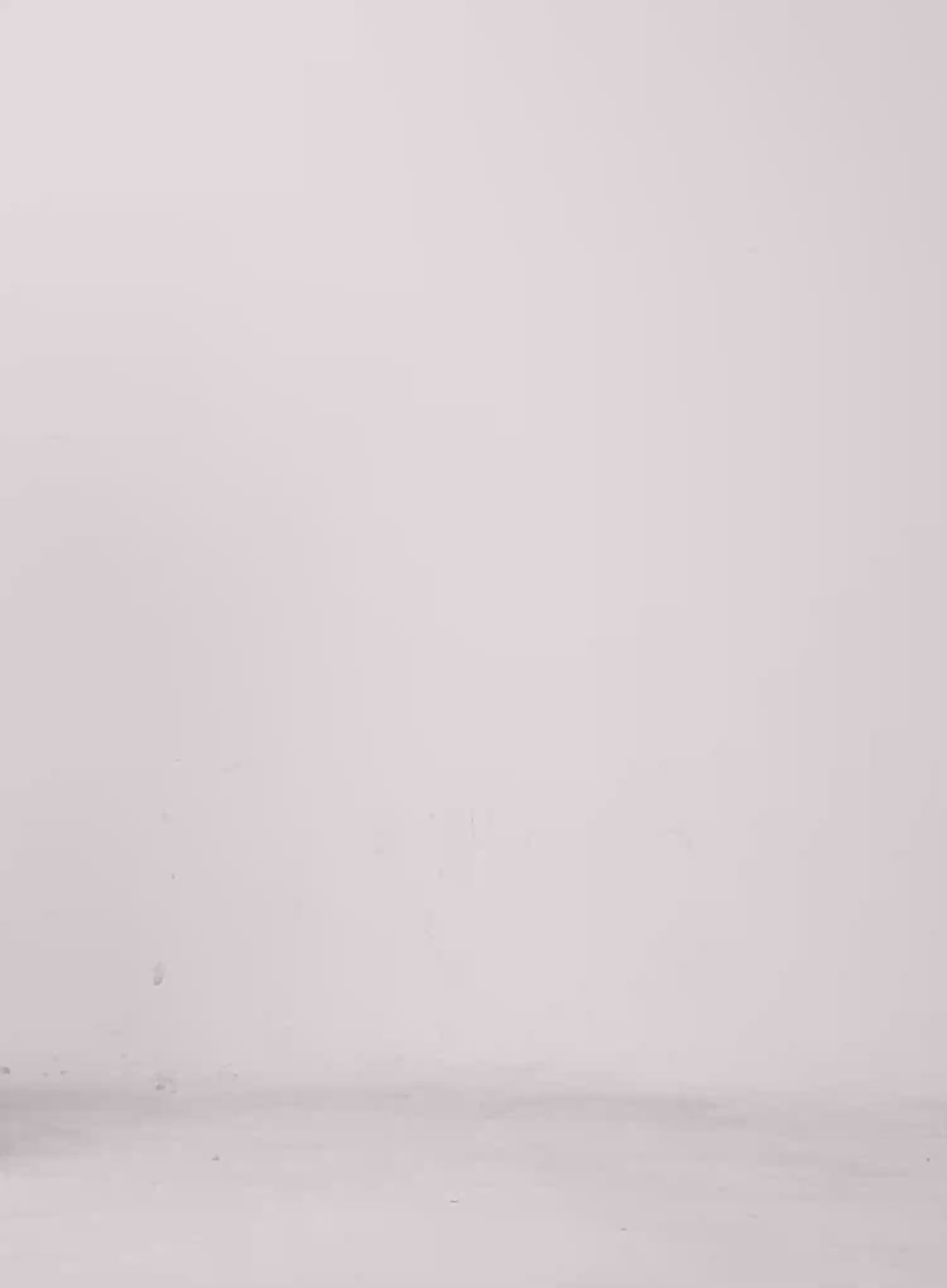 Side-Slit Midi Skirt IL528