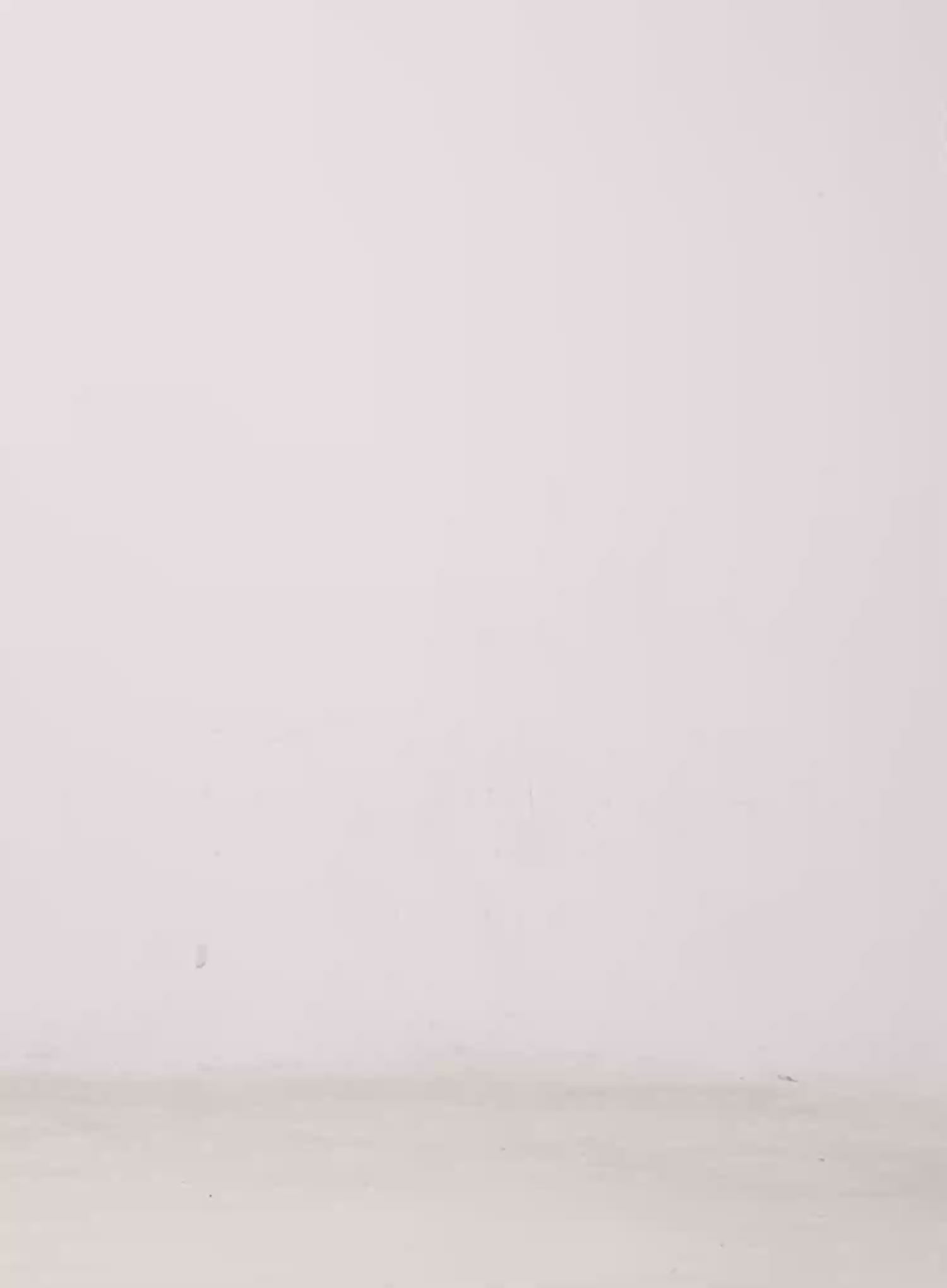 Plaid Cotton Maxi Skirt CL523